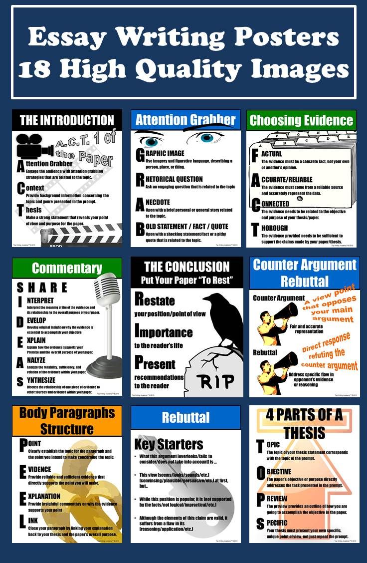 essay writing strategies
