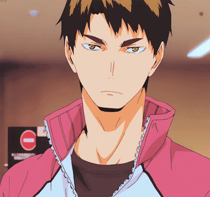 Haikyuu Characters Ushijima Team Ushijima Haikyuu Anime Ushijima