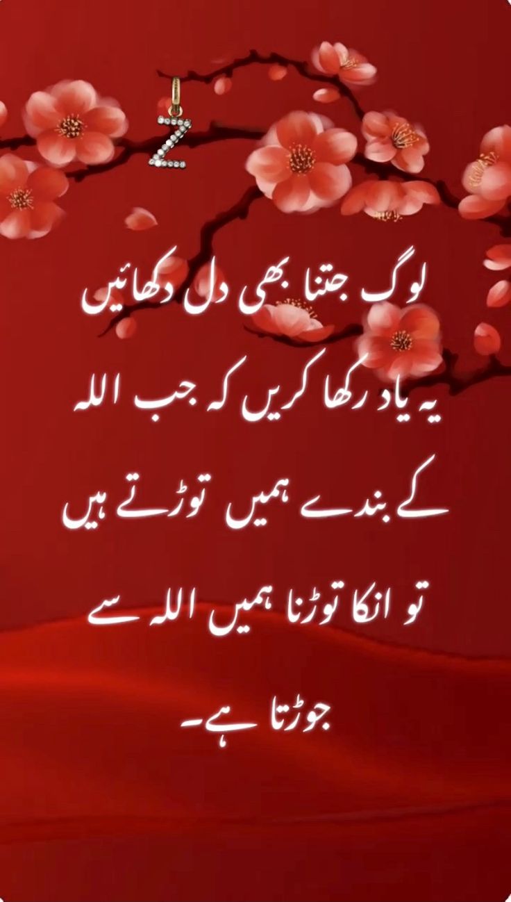 Pin By Mera Intikhab On Urdu Whats App Dp Funny Good Night Quotes pin-by-mera-intikhab-on-urdu-whats-app-dp-funny-good-night-quotes