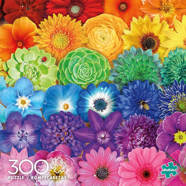 Color Explosion Flower Spectrum 300 Piece Jigsaw Puzzle in