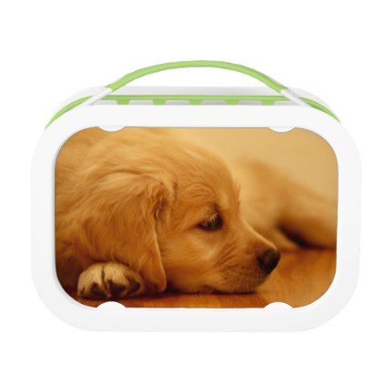 golden retriever gift ideas best 25 golden retriever gifts ideas on baby golden retrievers golden golden retriever gift ideas best 25 golden retriever gifts ideas on baby golden retrievers golden