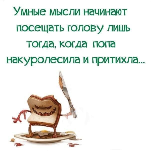 установки веселые картинки с мудрыми мыслями незатейливый букетик, обернутый