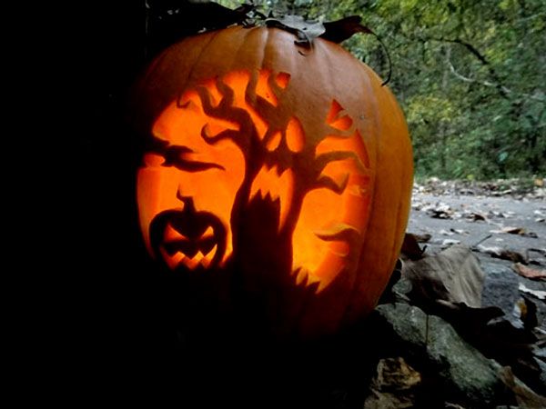 Best 25 Pumpkin Carvings Ideas On Pinterest Carving 50 Creative Pumpkin Carving Ideas