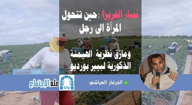 نساء الفريزا حين تتحول المراة الى رجل و مازق نظرية الهيمنة الذكورية لبيير بورديو Book Cover Books Baseball Cards