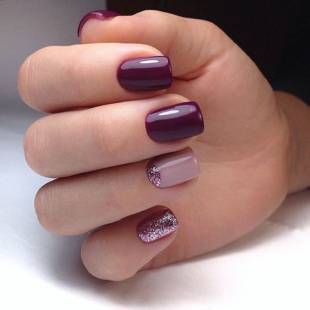 Modish Nail Spa Nail Salon 19128 Roxborough Philadelphia Pa 19128