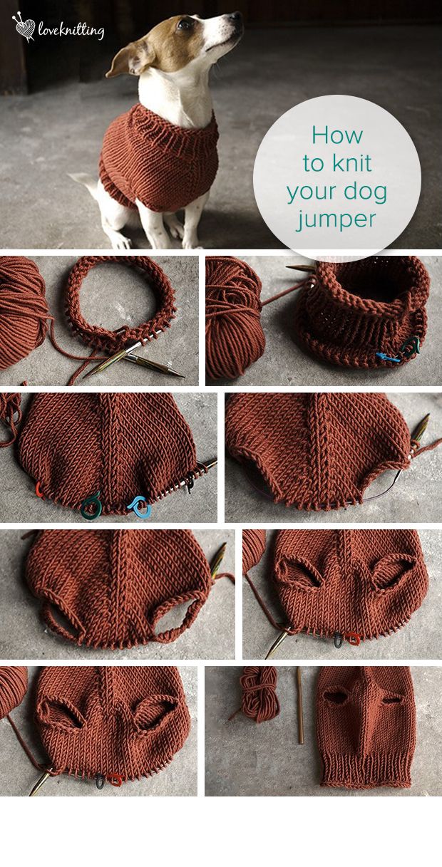 loveknittingcom: “Learn more! ” loveknittingcom: “Learn more! ”