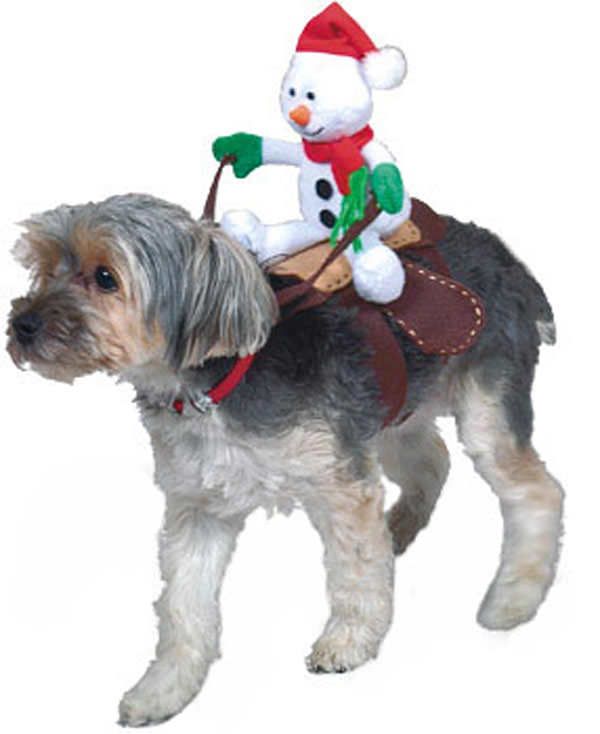Christmas Snowman Rider Dog Costume Dog Costumes Christmas Dog