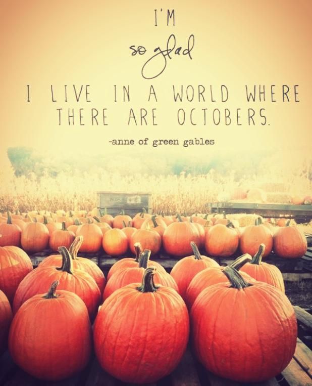 autumn first day quote with inspiring picture buyretina us 988da66180a1dc2a19b7d35a2a2c4e27 first day of autumn october autumn first day quote with inspiring picture buyretina us