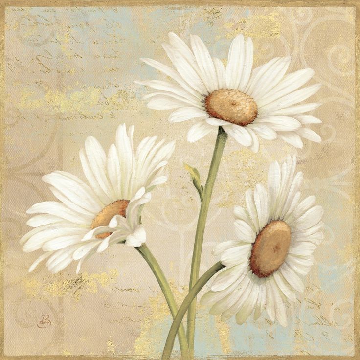 Beautiful Daisies II Daisy painting, Abstract canvas painting, Art prints