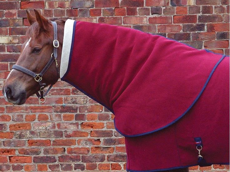 9 Best Winter Rugs Images On Pinterest And Carpet Comfort Zone Lapel Rug Neck Covers All Colours From Totally Tack Http