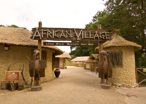Themed Events Midlands | west african themed party african village at west Themed Events Midlands | west african themed party african village at west