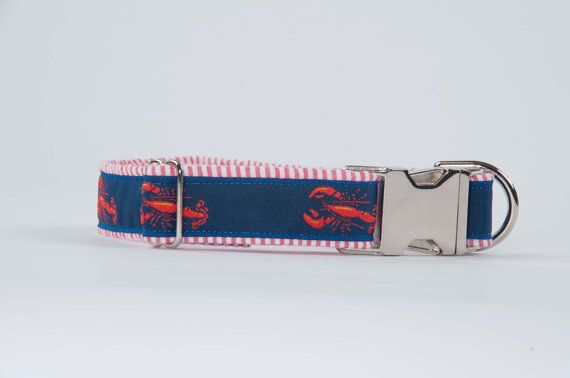 Lobster Print Dog Collar Lobster Print Dog Collar