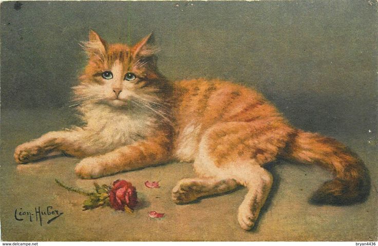 Leon Huber Illustrateur Cat Chat Chat A La Rose Edit S T Z F N 116 Suisse For Sale On Delcampe Cats Pretty Cats Gorgeous Cats