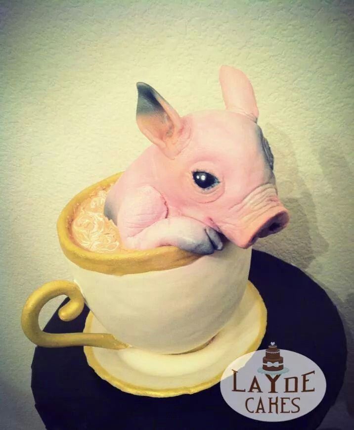 Teacup Pig Cuisine Teacup Pig Cuisine