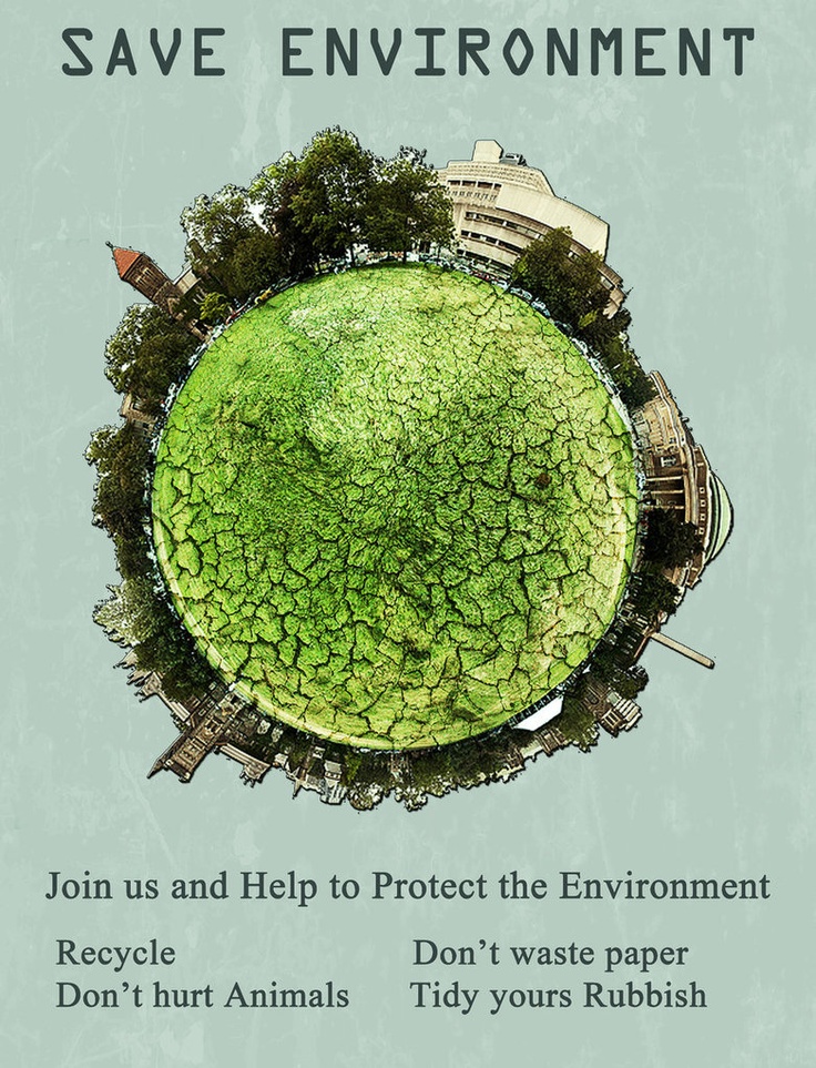 Ways to help the environment essay