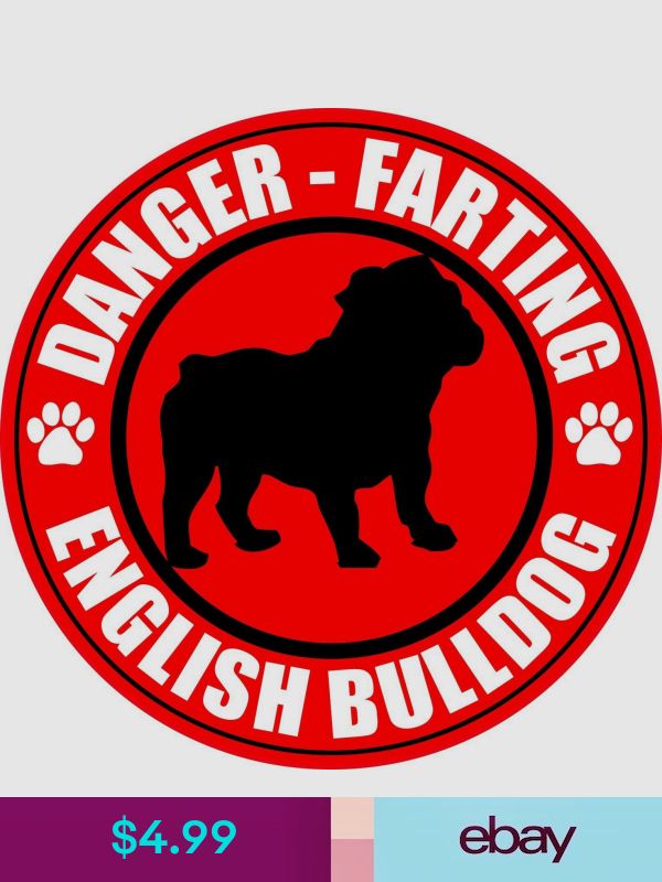 Decals & Stickers Collectibles Pitbull terrier, Boston