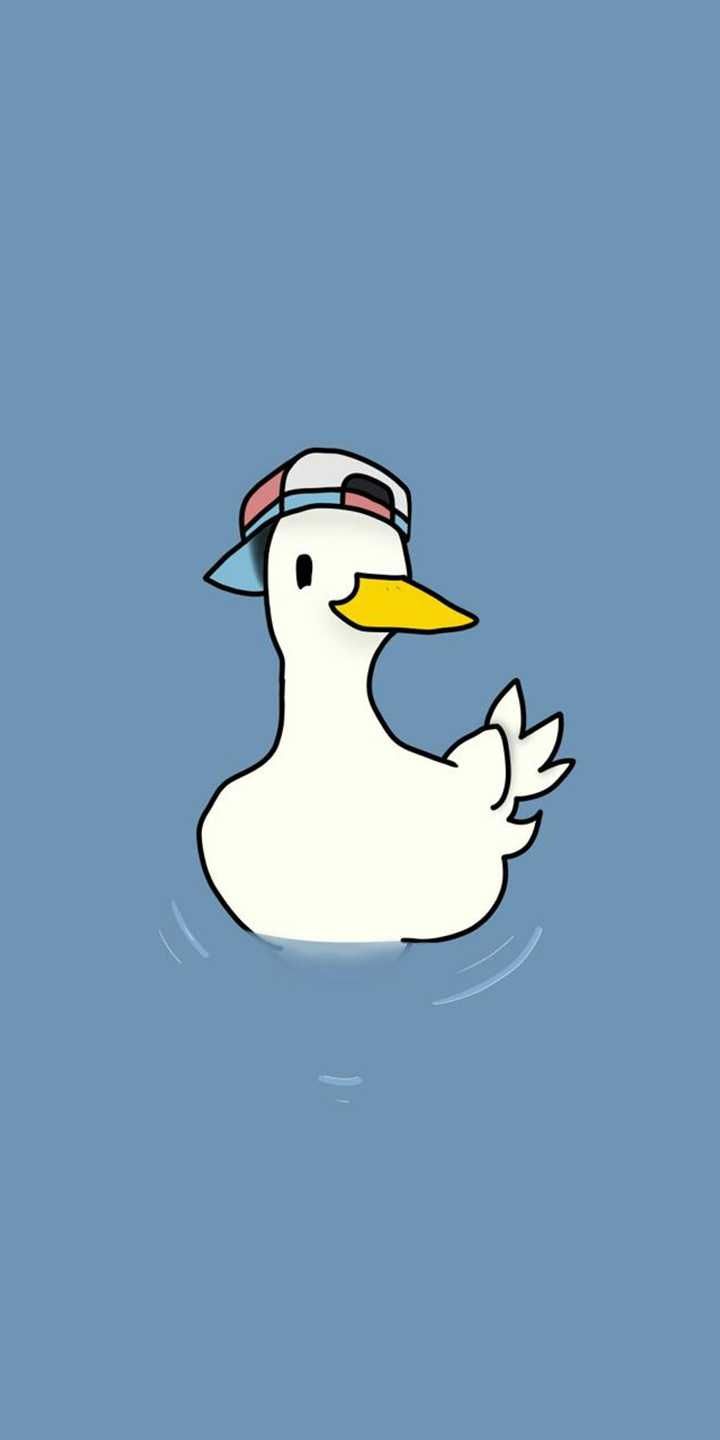 PFP Duck Wallpapers  Wallpaper Cave