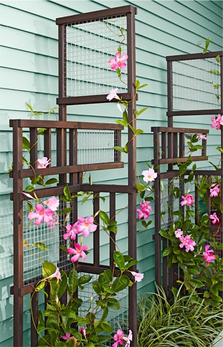 Build A Trellis As An Outdoor Architectural Element That Becomes Build A Trellis As An Outdoor Architectural Element That Becomes More Beautiful When Intertwined With Climbing Plants Lowe S Creative Ide