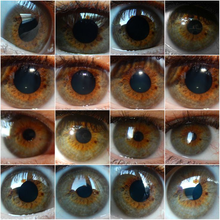Do hazel eyes change color