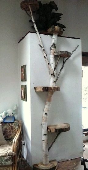 Twig Decor best 10+ tree branch decor ideas on pinterest | branches, tree Twig Decor best 10+ tree branch decor ideas on pinterest | branches, tree