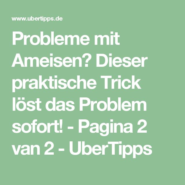 Die besten 25+ Ameisen vertreiben Ideen auf Pinterest Küchen - hausmittel gegen ameisen in der küche Die besten 25+ Ameisen vertreiben Ideen auf Pinterest Küchen - hausmittel gegen ameisen in der küche