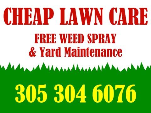 cheap lawn maintenance