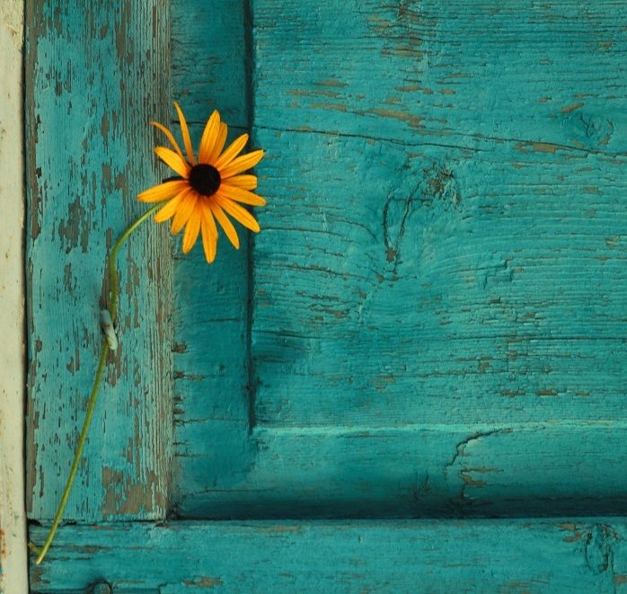 Rustic Teal Wall Paint Rustic Teal Wall Paint