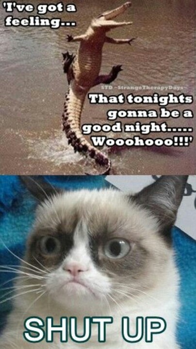 140 best grumpy cat images on pinterest animals, funny animals 9a19cc392d4ccda25afbc9fbaeb0f225 grumpy cat quotes grumpy cat meme 140 best grumpy cat images on pinterest animals, funny animals,Funny Clean Grumpy Cat Memes
