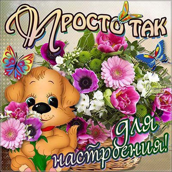 Картинки с надписями просто