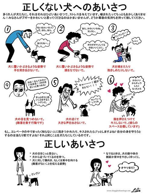 Forwards Approach Dog Training Forwards Approach Dog Training