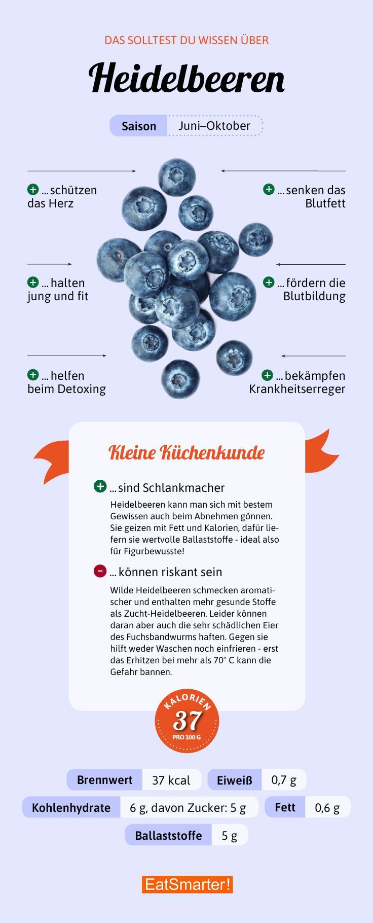 sind blaubeeren gut zum abnehmen sind blaubeeren gut zum abnehmen