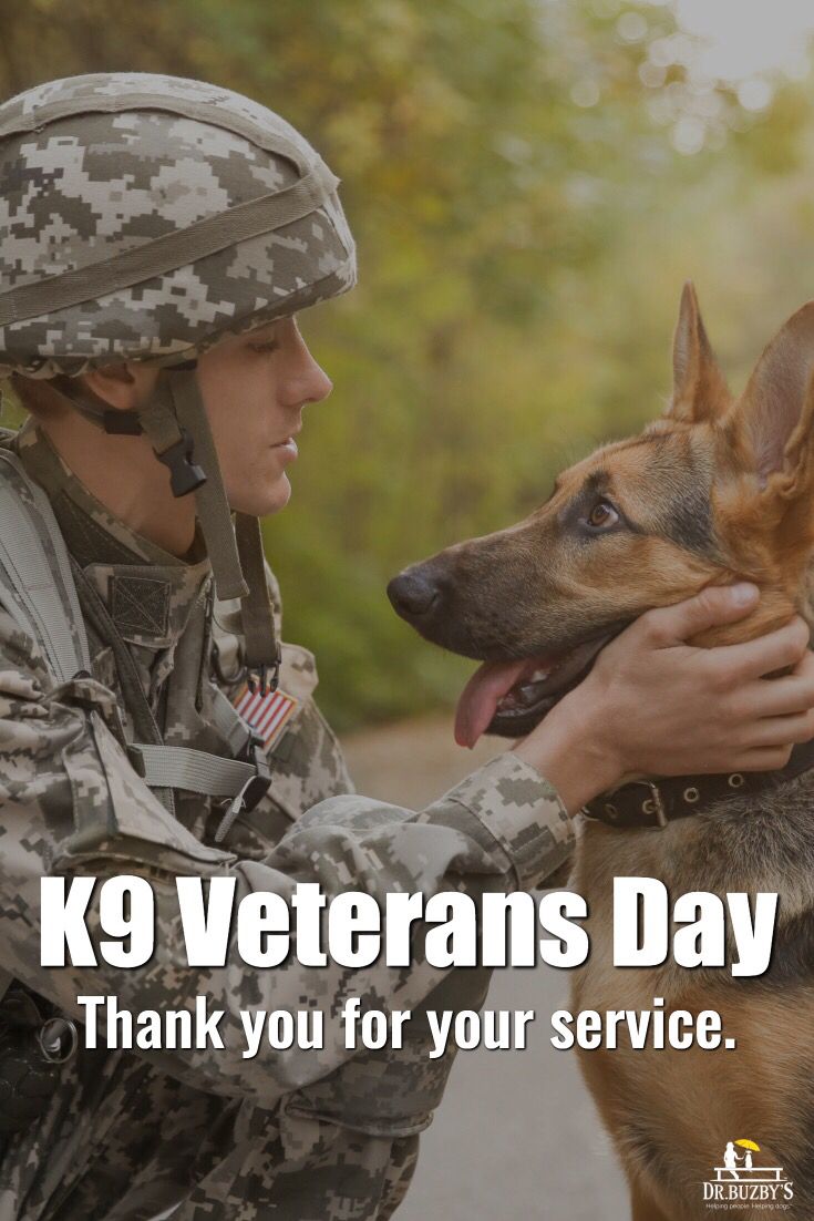 Thank You For Your Service Dog Help Dogs Best Dogs