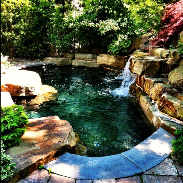 Best 25+ Mini pool ideas on Pinterest | Plunge pool, Natural ... Best 25+ Mini pool ideas on Pinterest | Plunge pool, Natural ...
