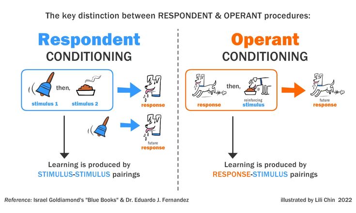 The Diagram Shows How To Respond And Respond With An Open Ended the-diagram-shows-how-to-respond-and-respond-with-an-open-ended