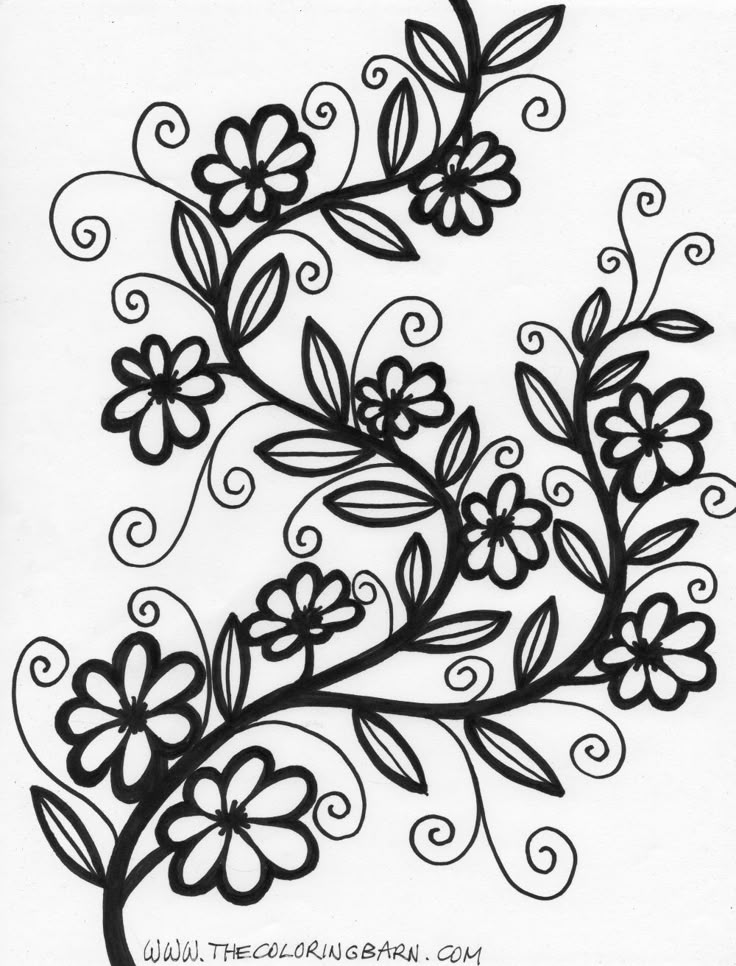 598 best MANDALAS wk images on Pinterest Coloring books, Adult - copy coloring pages flowers and butterflies 598 best MANDALAS wk images on Pinterest Coloring books, Adult - copy coloring pages flowers and butterflies