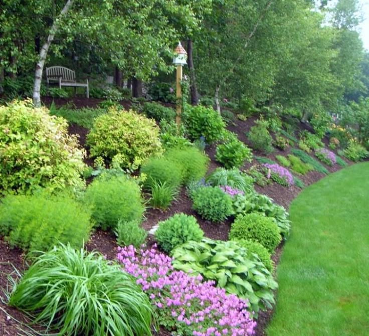 59 best front yard slope..what the heck do i do with it??? images on