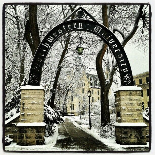 University of chicago arch nemesis essay