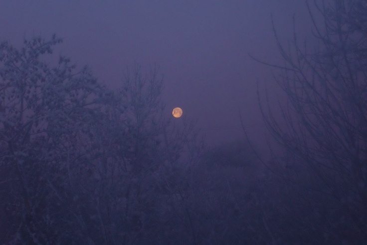 Frost full moon. The night sky is a joy in rural Ireland. | County leitrim, Cavan, Sligo