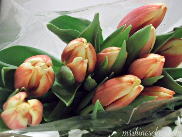 52 best DIY Flower Arrangements images on Pinterest | Flower ... 52 best DIY Flower Arrangements images on Pinterest | Flower ...