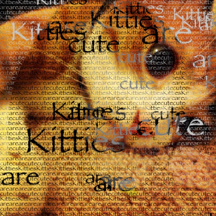 Word kat ;) | Cute animals, Animals, Cute