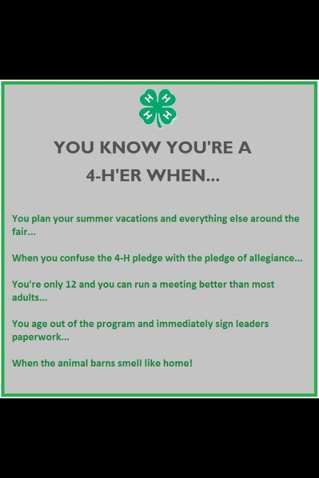 I'm FFA But The Only 60 And Able To Run A Meeting Better Than Most Custom 4 H Quotes I'm FFA But The Only 60 And Able To Run A Meeting Better Than Most Custom 4 H Quotes