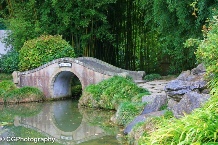11 best New Zealand images on Pinterest New zealand, Hamilton and - chinesischer garten brucke 11 best New Zealand images on Pinterest New zealand, Hamilton and - chinesischer garten brucke
