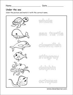 sea creatures preschool activities animal activities for kids