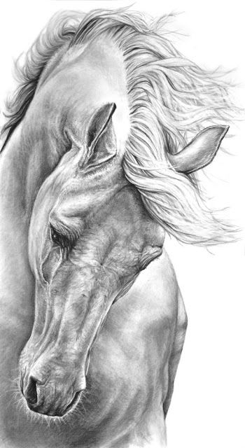 pencil artwork