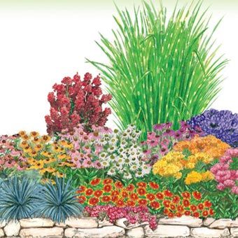 The 25+ best Full sun garden ideas on Pinterest | Full sun landscaping
