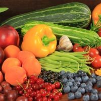 Dr oz show weight loss episodes Dr oz show weight loss episodes the problems