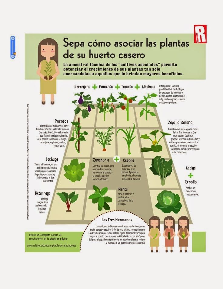 Beneficios de la huerta escolar fish recipes Beneficios de la huerta escolar fish recipes