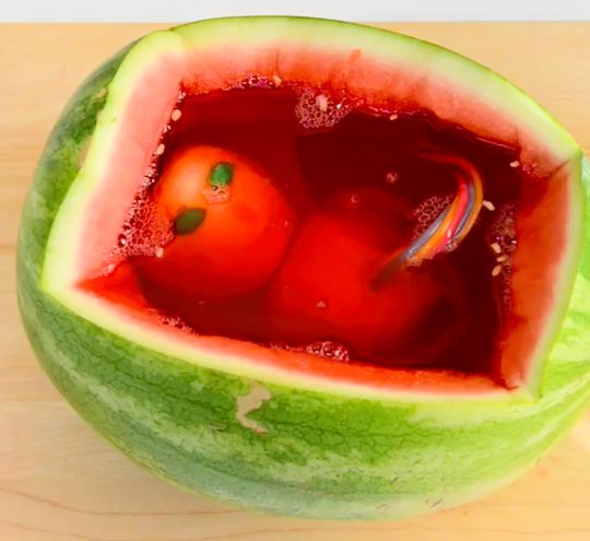 halloween food alien baby in a watermelon womb