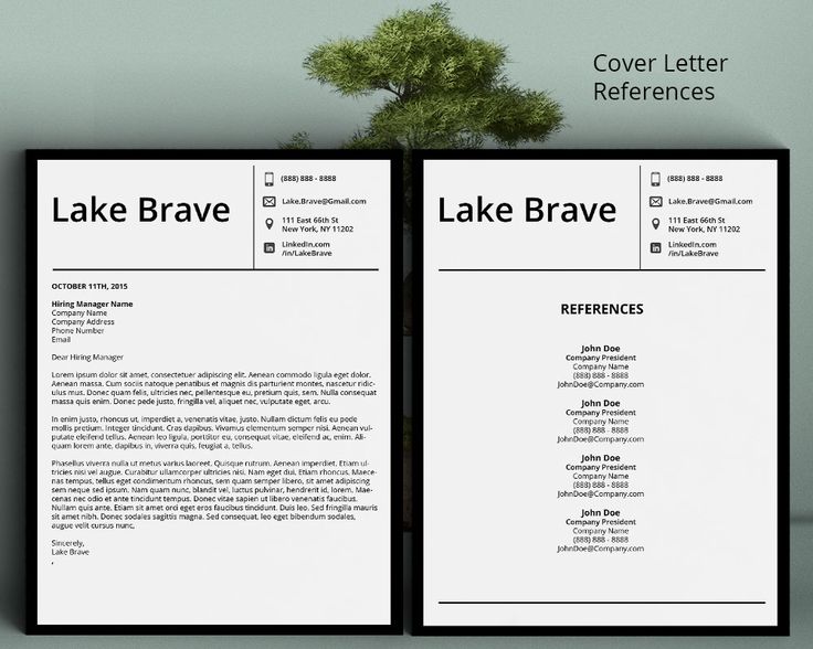 9 best Lake Brave Sophisticated CV Resume Template images on - sophisticated resume templates 9 best Lake Brave Sophisticated CV Resume Template images on - sophisticated resume templates