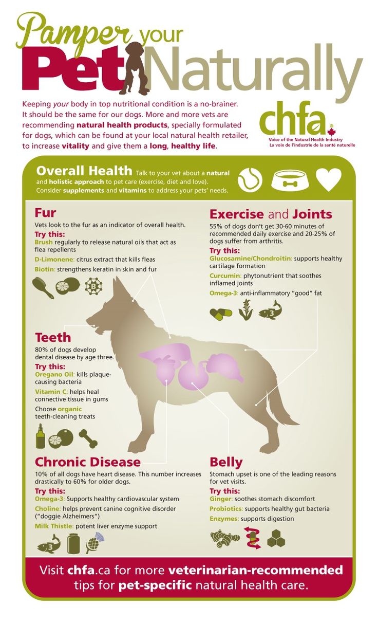 How To Treat Hotspots On Dogs At Home Naturally How To Treat Hotspots On Dogs At Home Naturally